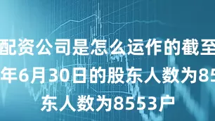 配资公司是怎么运作的截至2025年6月30日的股东人数为8553户