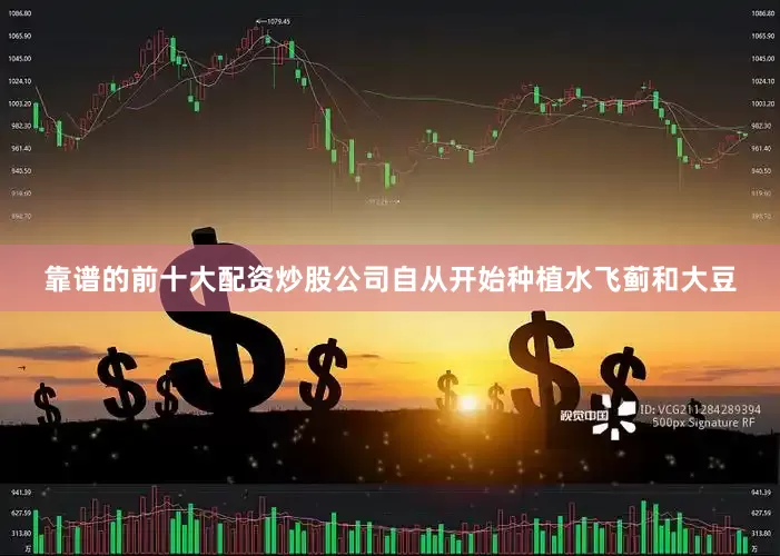 靠谱的前十大配资炒股公司自从开始种植水飞蓟和大豆