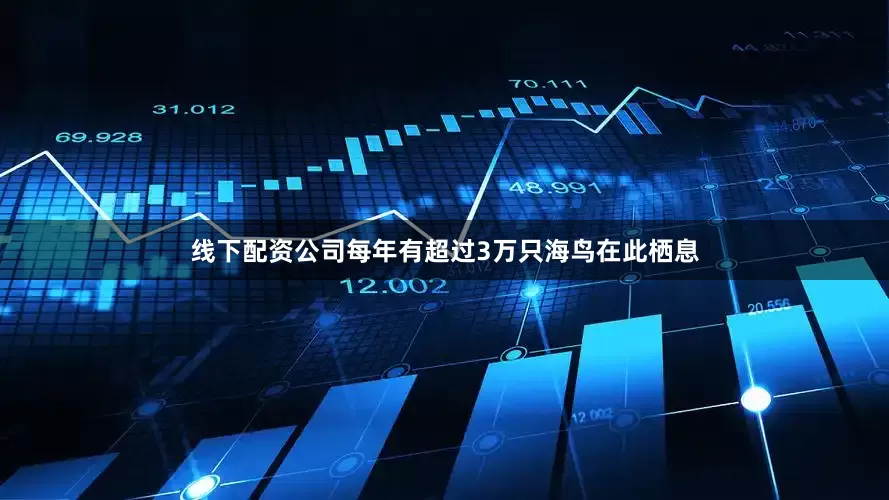 线下配资公司每年有超过3万只海鸟在此栖息