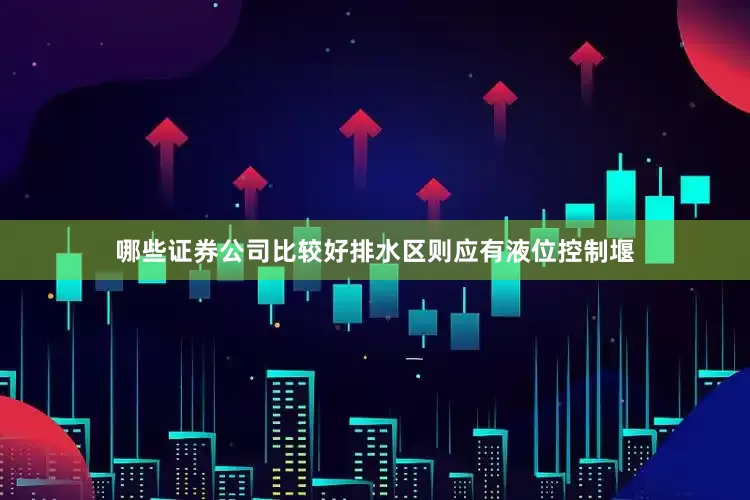 哪些证券公司比较好排水区则应有液位控制堰