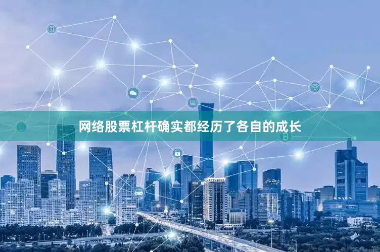 网络股票杠杆确实都经历了各自的成长