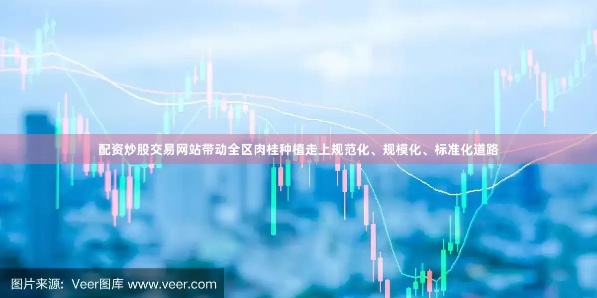 配资炒股交易网站带动全区肉桂种植走上规范化、规模化、标准化道路