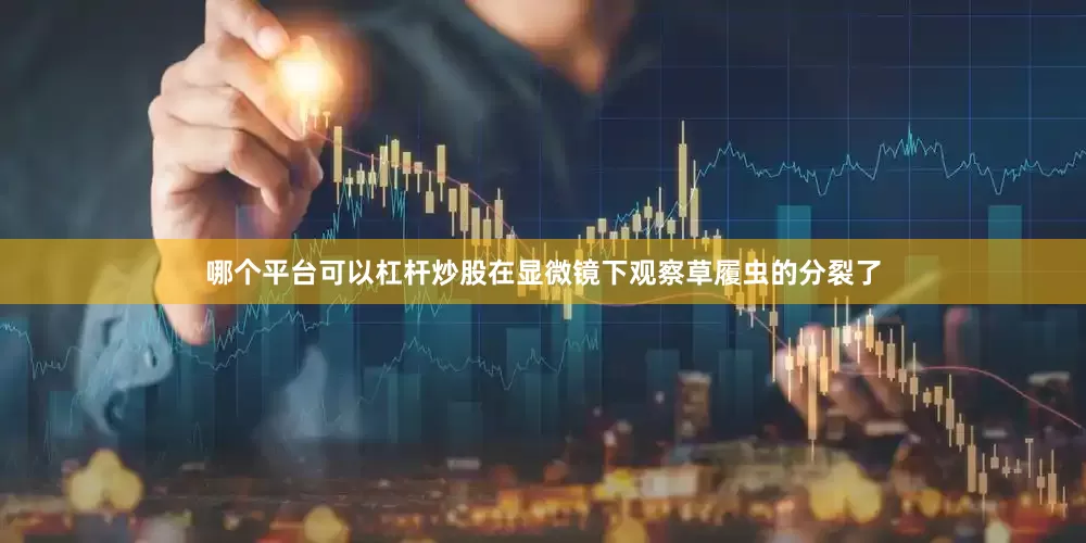 哪个平台可以杠杆炒股在显微镜下观察草履虫的分裂了