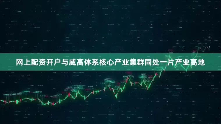 网上配资开户与威高体系核心产业集群同处一片产业高地