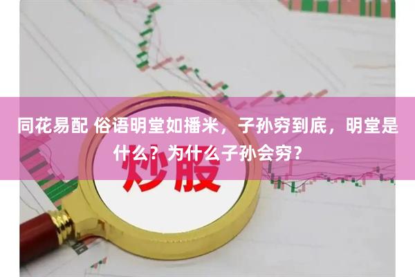 同花易配 俗语明堂如播米，子孙穷到底，明堂是什么？为什么子孙会穷？